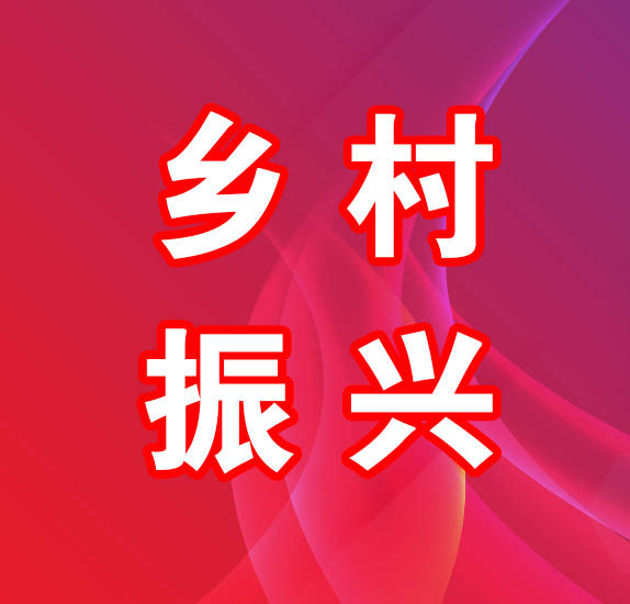 发展新型集体经济 积极赋能乡村振兴