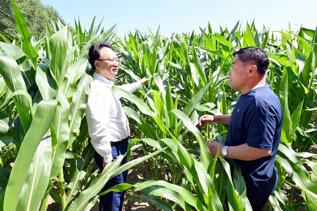 景俊海：强化政策赋能科技赋智人才赋力 坚决扛稳维护国家粮食安全重任