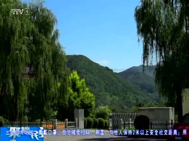 铁树开花难得一见 17年精心养护终开花