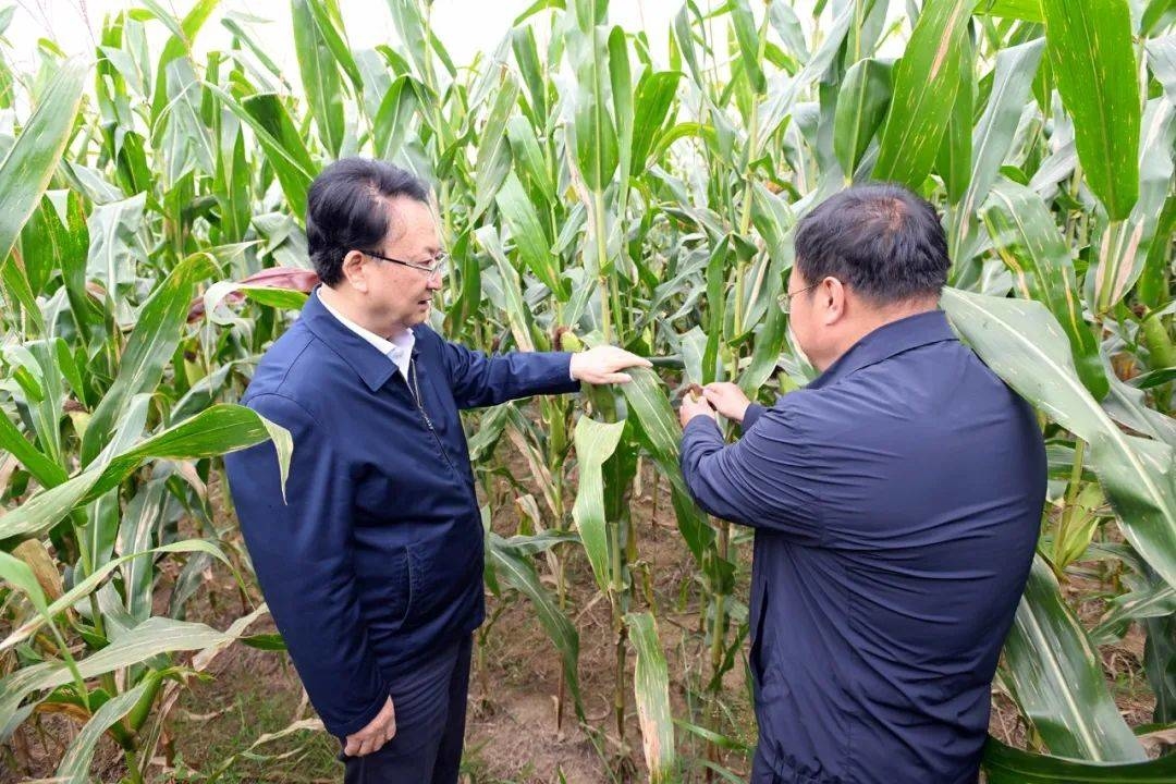 景俊海：坚持藏粮于地藏粮于技 确保粮食丰产农民增收 坚决扛牢扛稳维护国家粮食安全重大政治责任