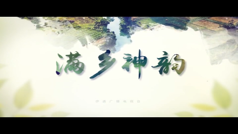【满乡神韵】《乡村振兴看伊通之河源镇》