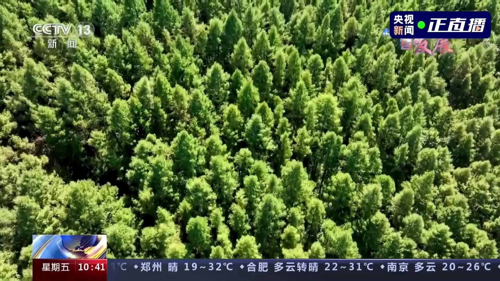 走进县城看发展丨吉林白山抚松：生态宝藏助发展 绿色转型产业兴