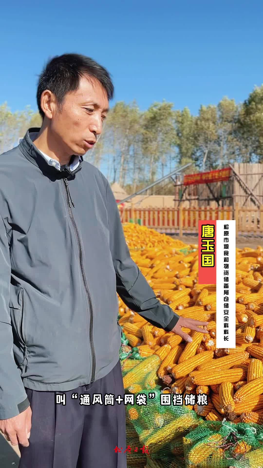 解决“地趴粮” 安全储粮六种方式（三）通风筒+网袋围挡 来源：松原日报