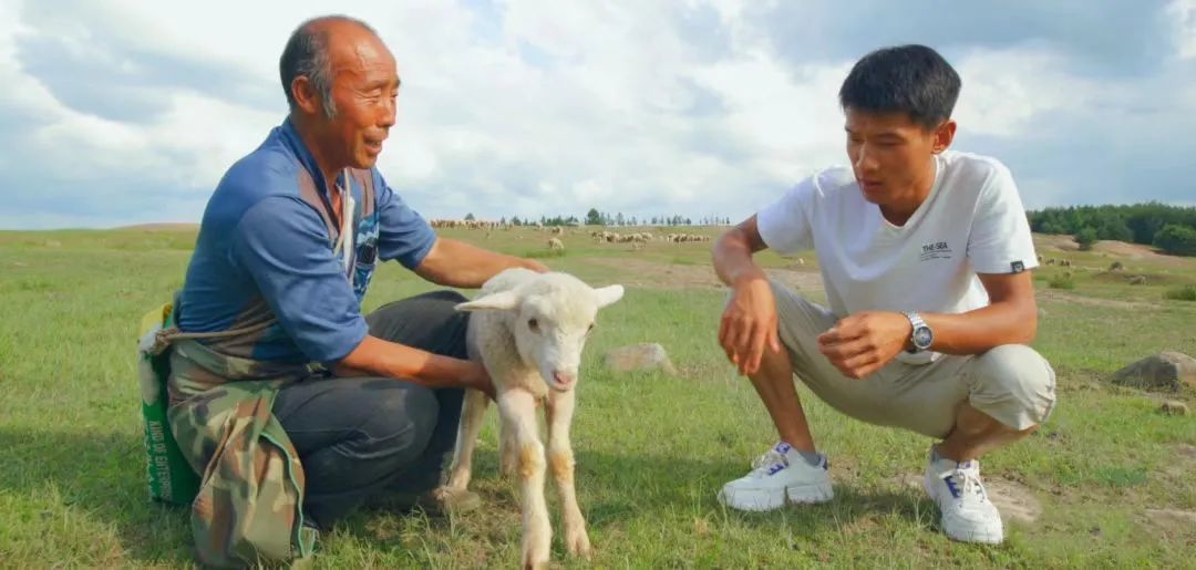 奋斗者 正青春丨90后王明富闯出“羊”关道