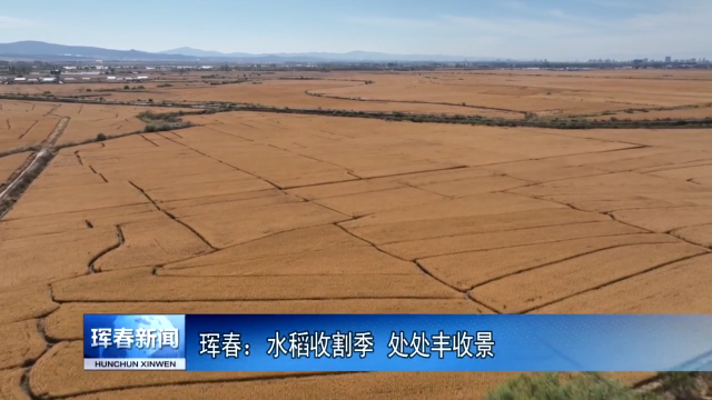 珲春：水稻收割季  处处丰收景