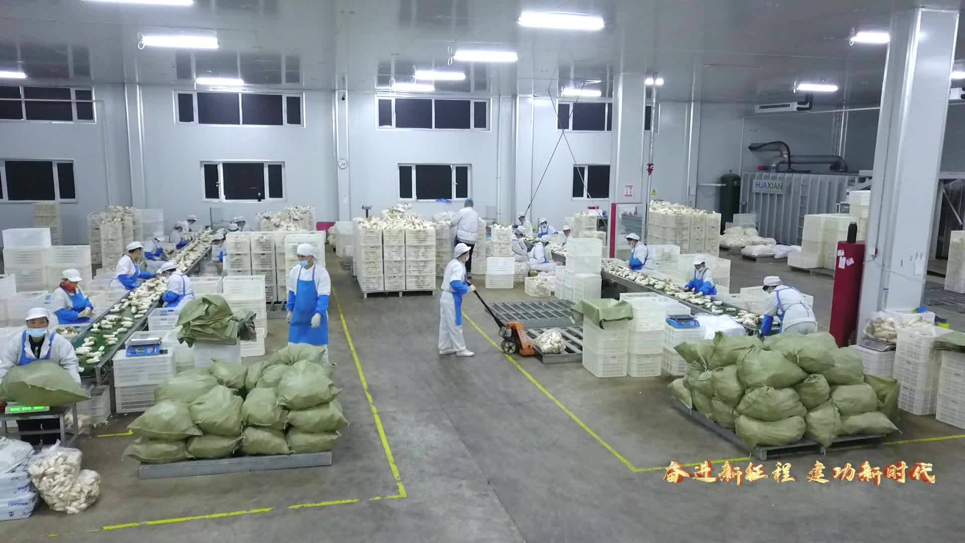 安图经济开发区：乘风而起 破浪前行