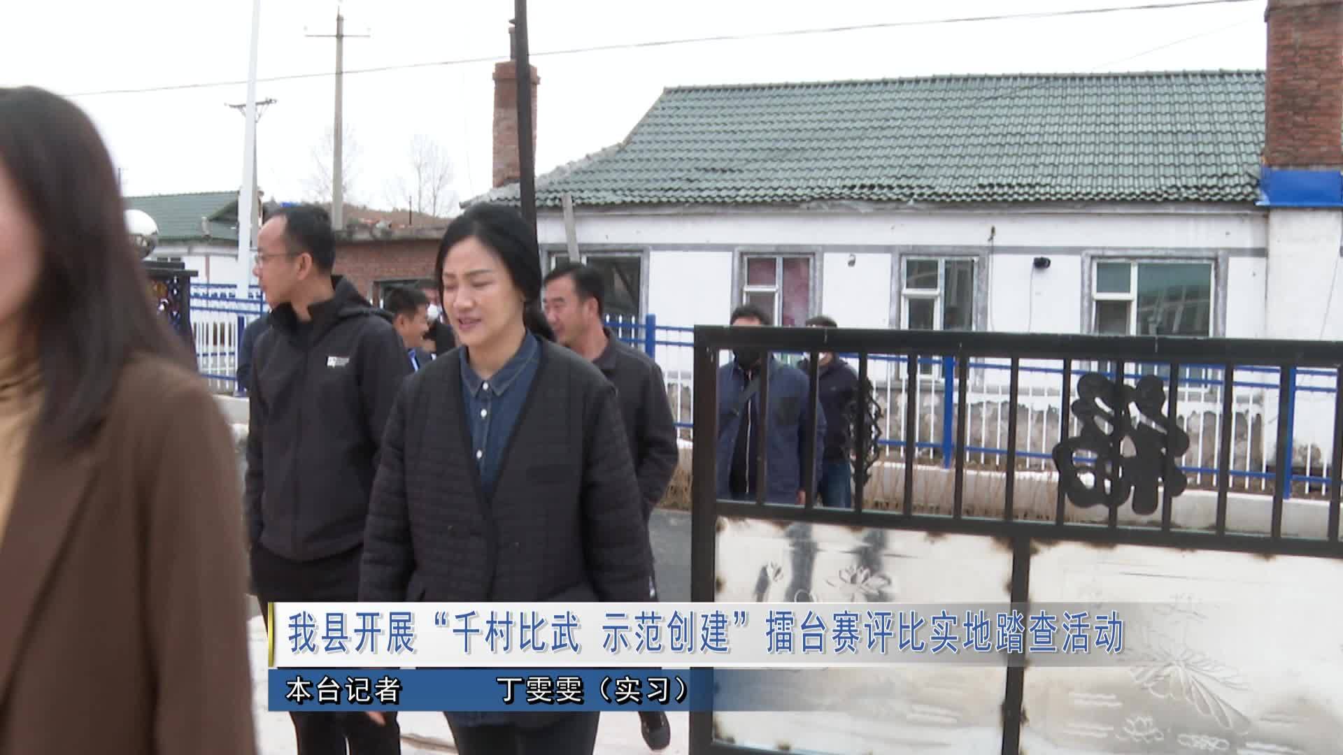 我县开展“千村比武 示范创建”擂台赛评比实地踏查活动