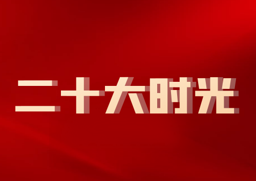 党代表声音 | 金文玲——以高质量党建引领高质量发展