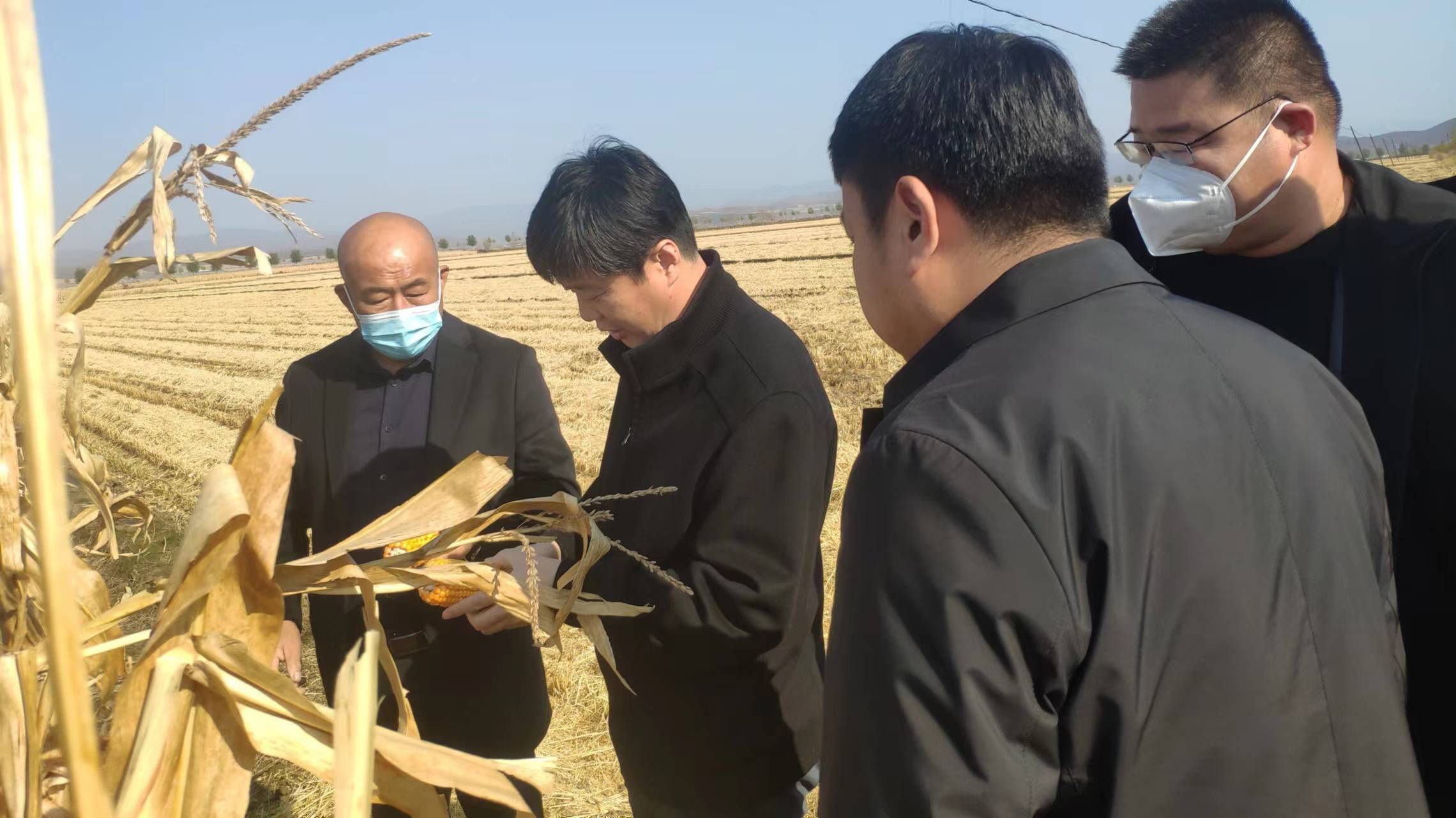 장림국 추수 및 곡식대수거사업 전개정황 조사연구