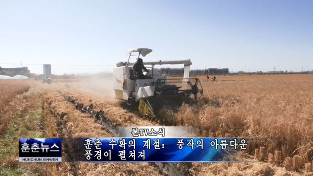 훈춘 수확의 계절： 풍작의 아름다운 풍경이 펼쳐져