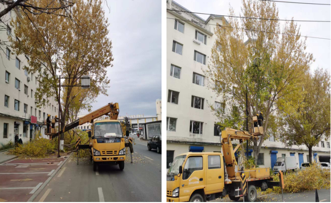 龙井市园林管理中心积极做好冬季树木修剪工作