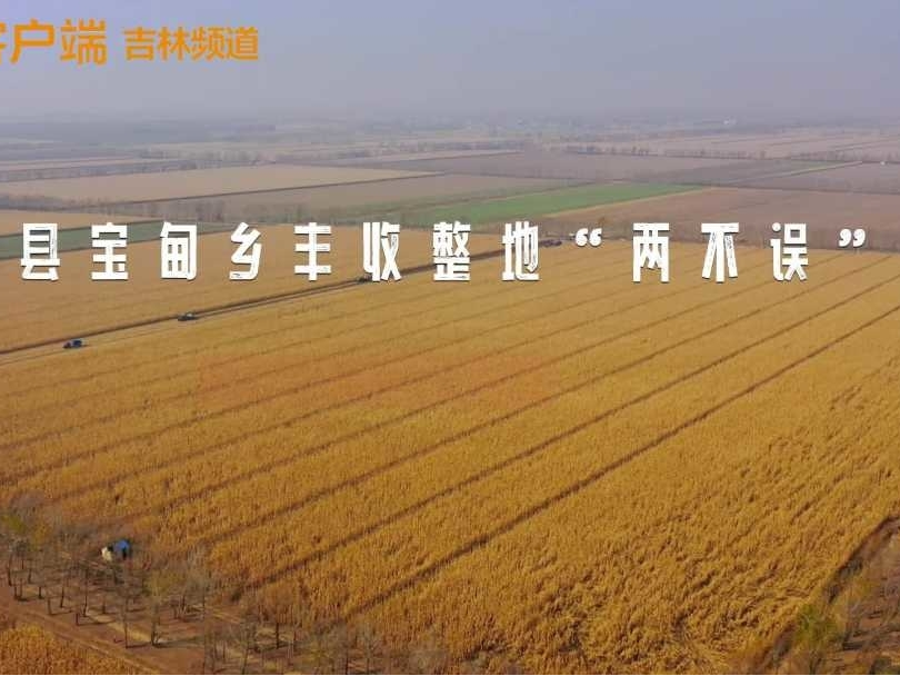 观长白丨秋收忙啥？大农机24小时不停歇作业！