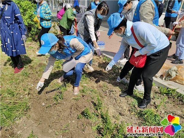 【延吉新时代文明实践】丹岭社区新时代文明实践站开展“播种小花种，建设大庭院”志愿服务活动