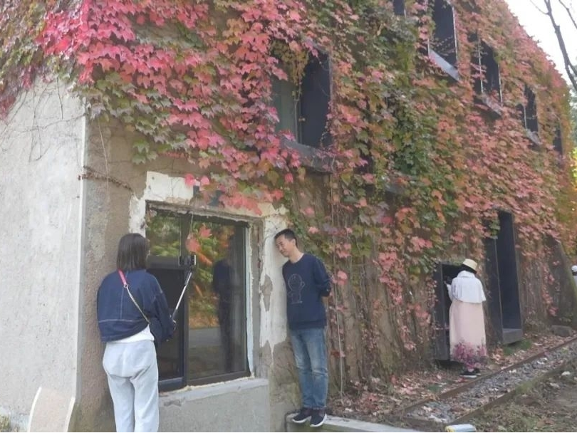 电视剧《人世间》摘取“金鹰”三项大奖 吉林聚势打造旅游新地标