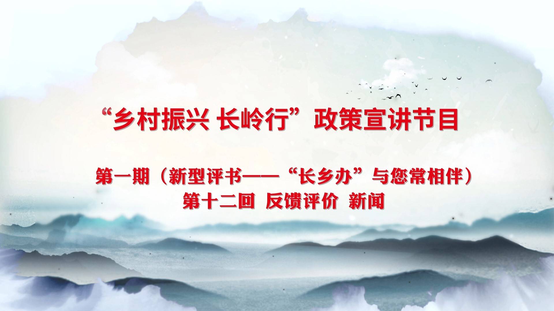 “乡村振兴 长岭行”政策宣讲节目 第一期（新型评书——“长乡办”与您常相伴）第十二回 反馈评价 新闻