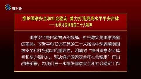 维护国家安全和社会稳定 着力打造更高水平平安吉林——论学习贯彻党的二十大精神