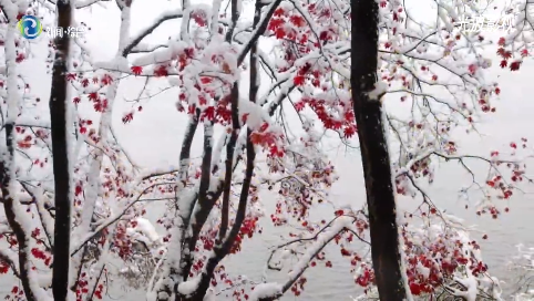 辉南县：雪后南龙湾 如仙似画