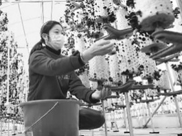 探寻中国式现代化之路丨红了800多年的“顶流UP主”如何炼成？