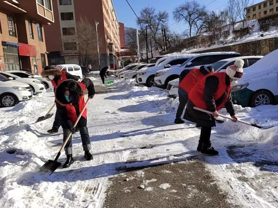 临江市台兴社区 | 党建引领聚能量 齐心协力除冰雪