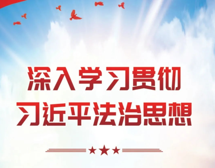 一图读懂习近平法治思想