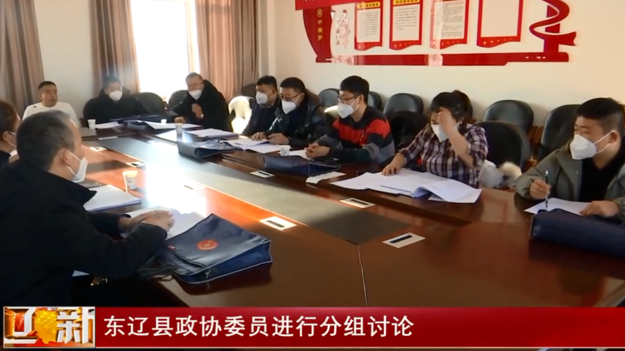 东辽县政协委员进行分组讨论