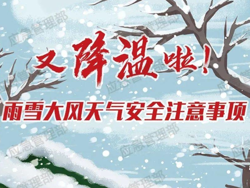 应急科普丨雨雪大风天，这些安全事项要注意