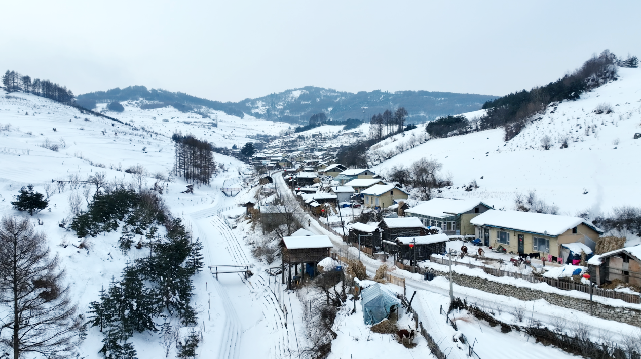 这个冬天，去乡村体验冰雪农趣吧！