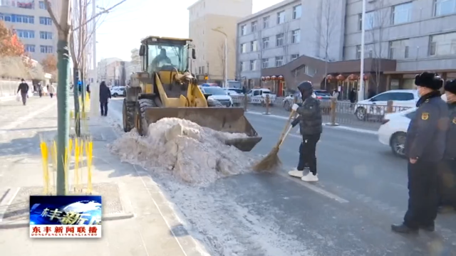 大寒迎降雪  县城管局组织清雪公司及时清除冰雪