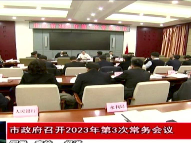 市政府召开2023年第3次常务会议