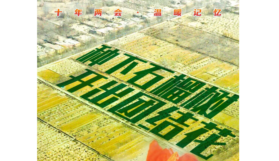 十年两会·温暖记忆｜“种下石榴树，开出团结花”