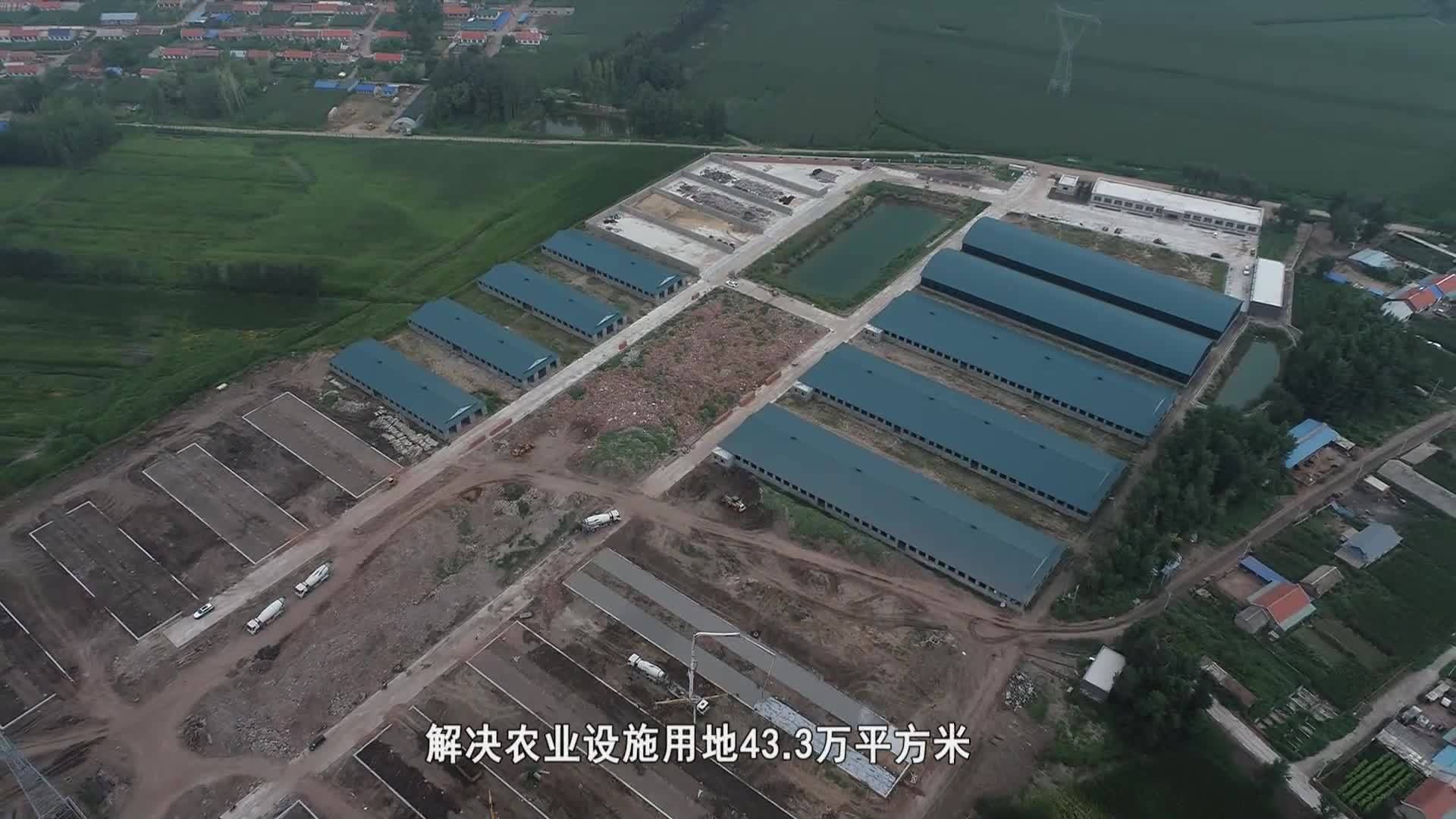 畜牧业撑起我市农业总产值的半壁江山