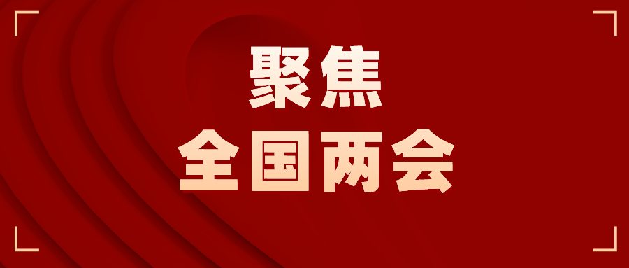 学习进行时丨“这十年，总书记的两会关切”之五·敲重锤