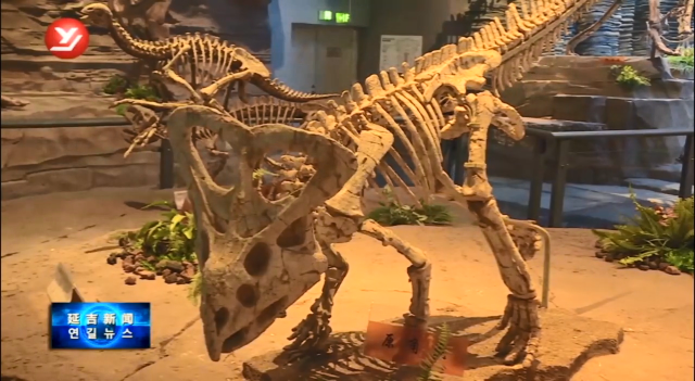 恐龙博物馆开展科普月活动 免费开放一个月