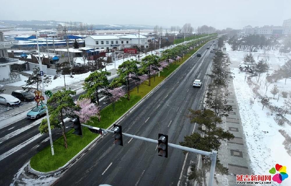 绿美延吉|长白山路将打造层次分明的城市绿色廊道