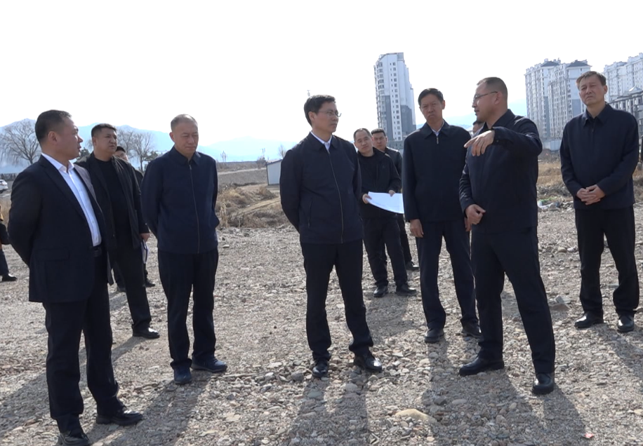 焦文民:科学统筹谋划 加快推进项目建设进度