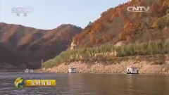 【央媒看集安】 生态中国系列（边关行）：走进生态集安（下）