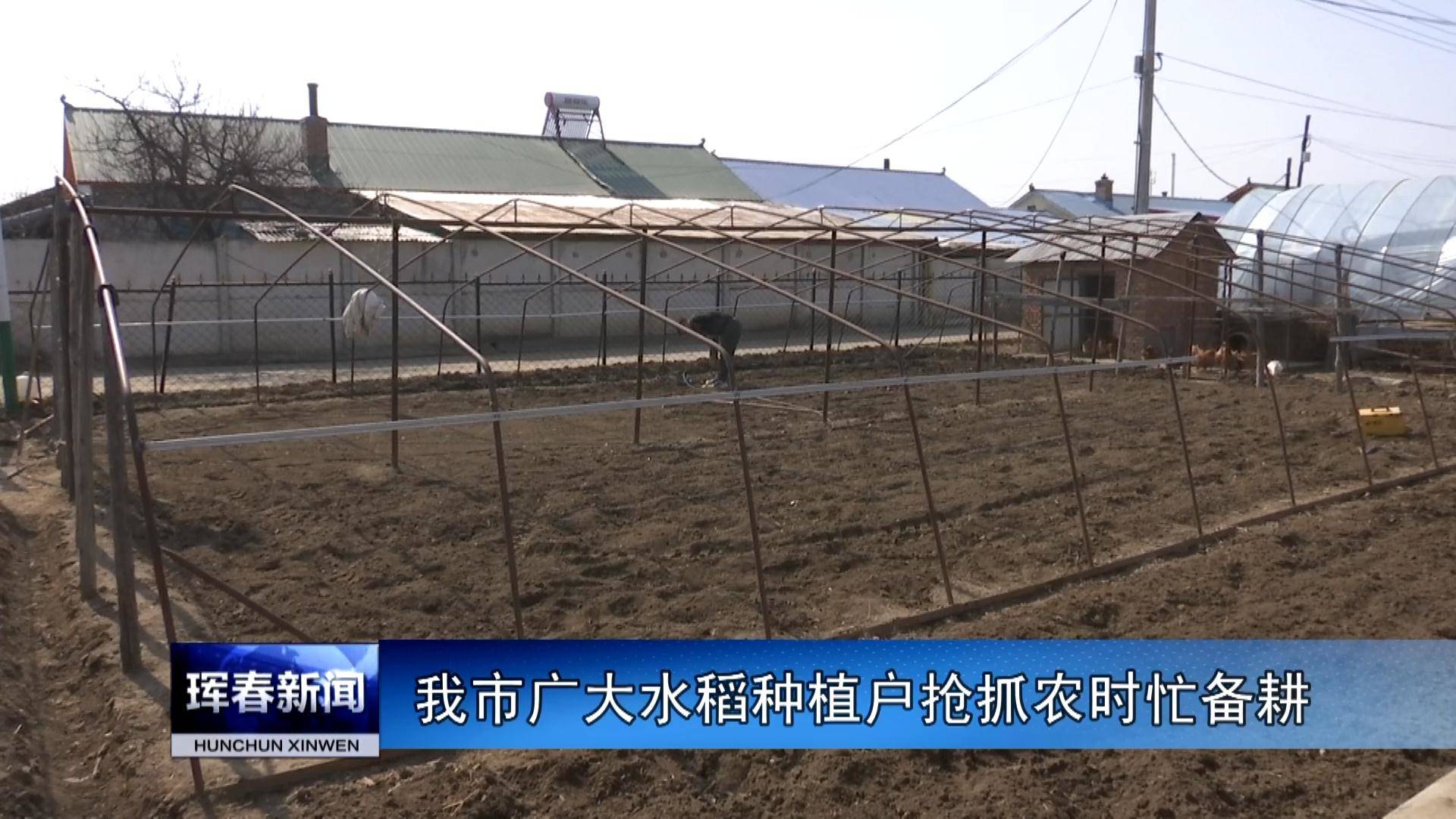 我市广大水稻种植户抢抓农时忙备耕