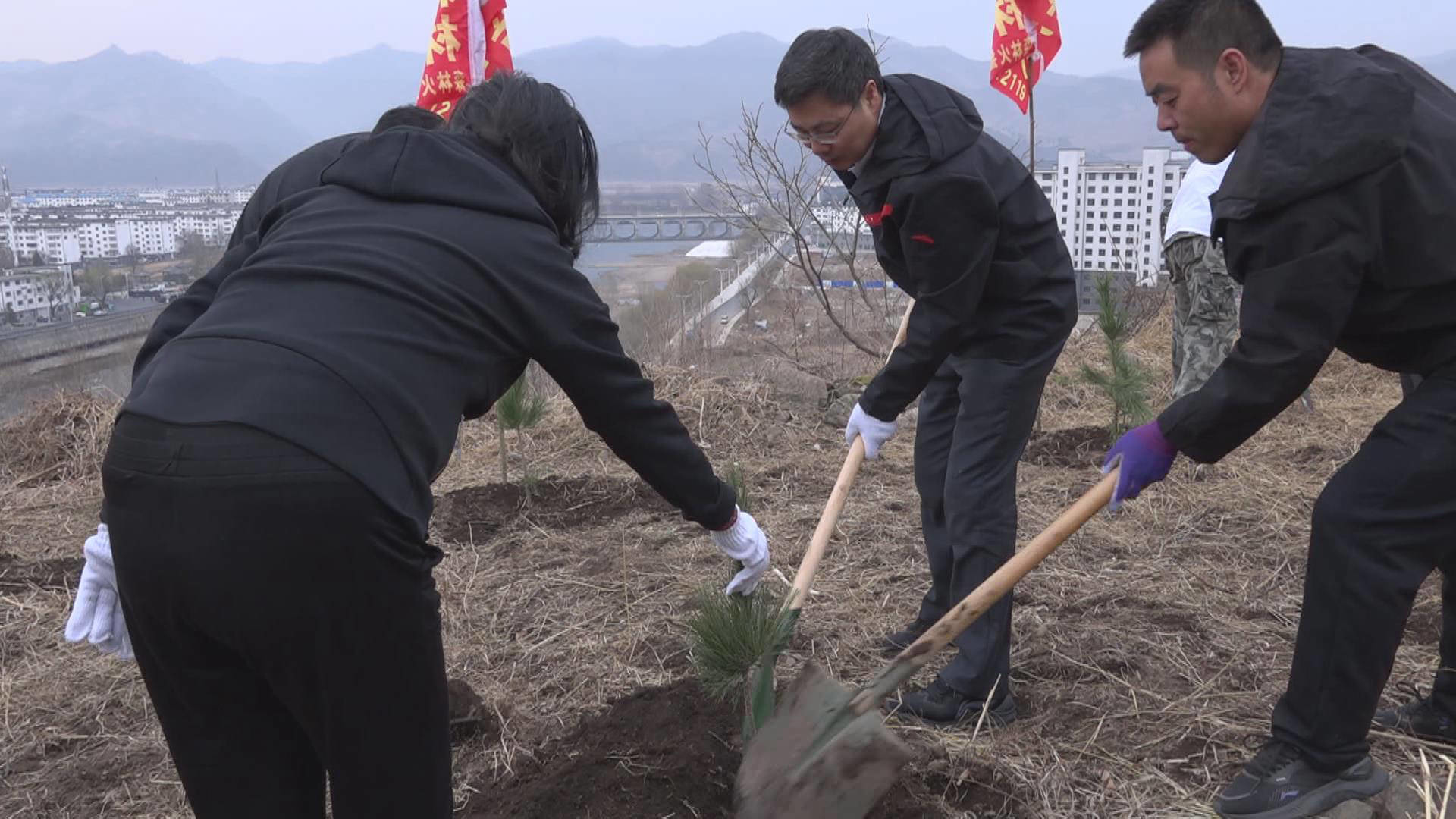 焦文民等市领导参加义务植树活动