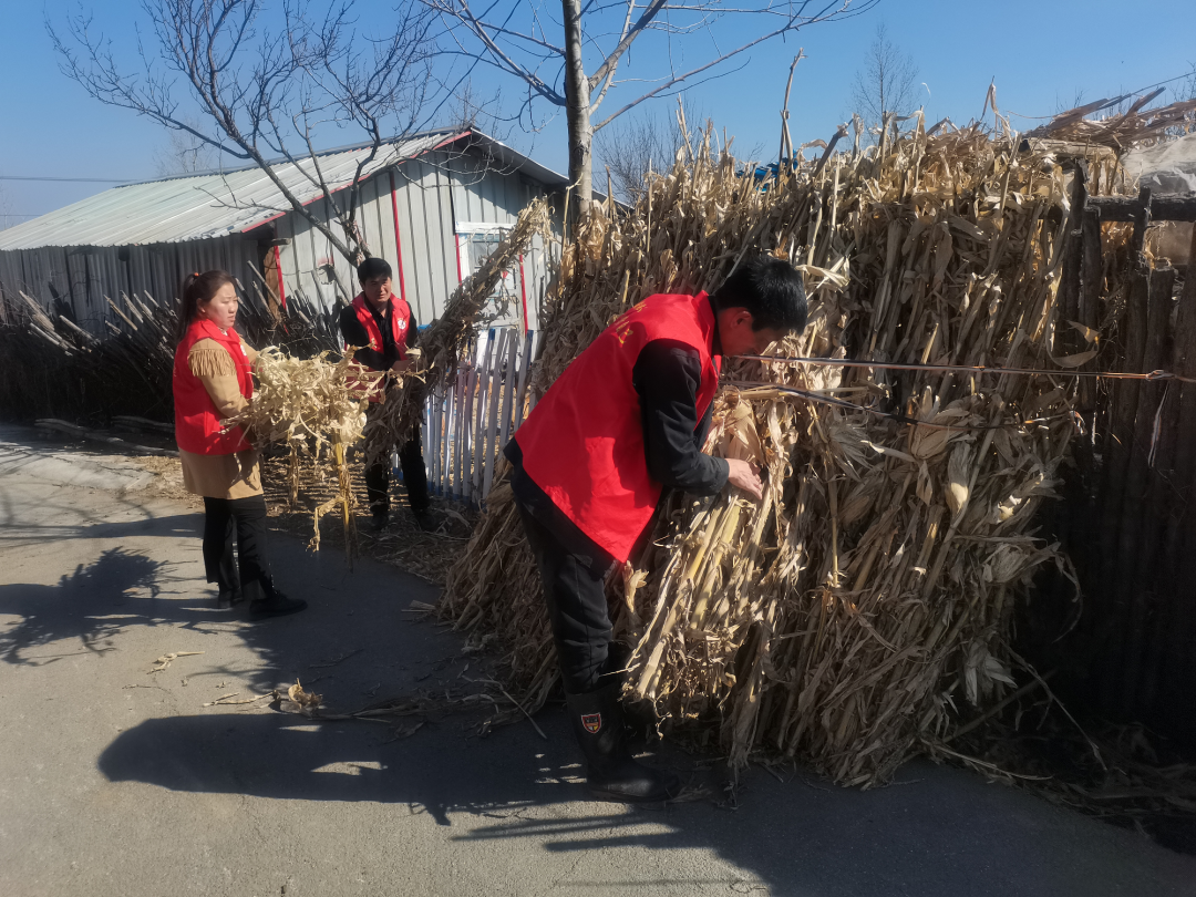 临江市桦树镇 | 党建引领人居环境整治 提颜增色扮靓美丽乡村