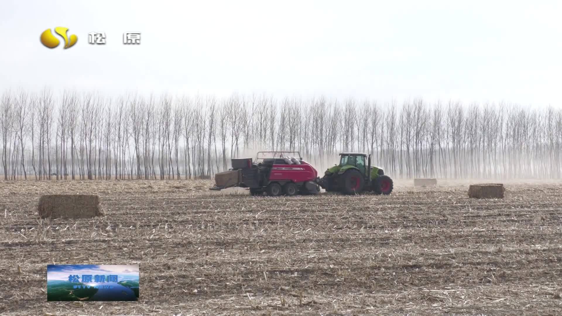 扶余市得胜镇：抢前抓早安排部署秸秆离田工作