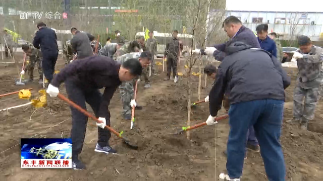 我县开展全民义务植树活动