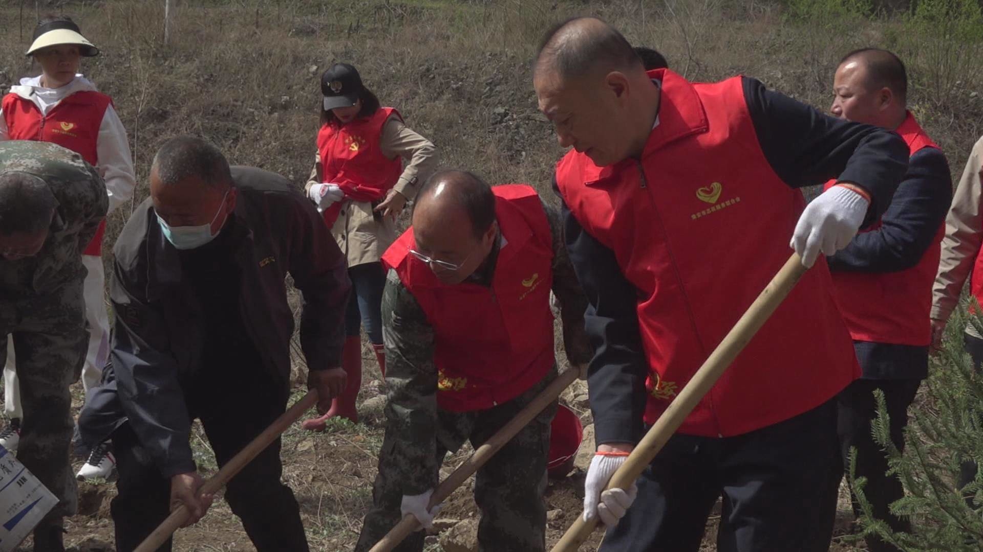 刘一兵到包保村开展义务植树活动