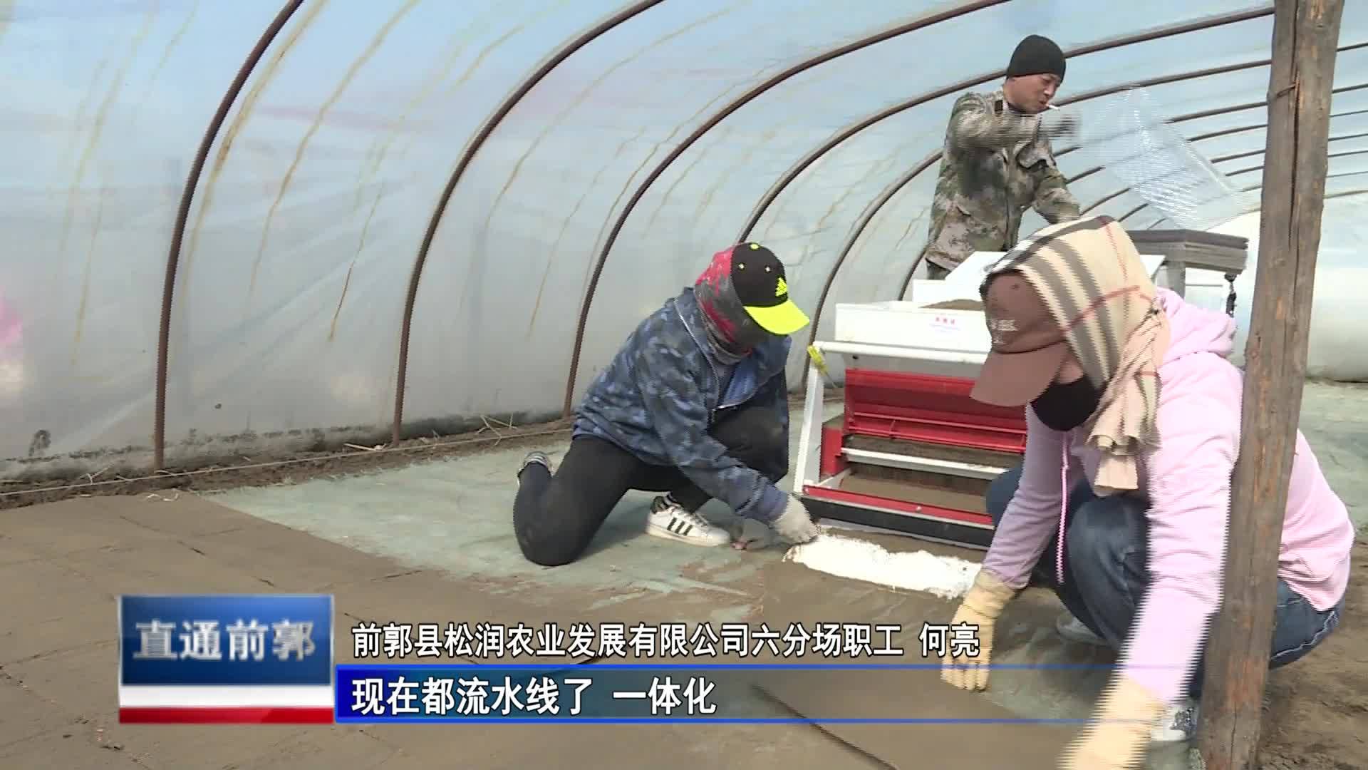 直通县市区2023年4月25日前郭    抢前抓早育壮苗 备耕生产近尾声VA0