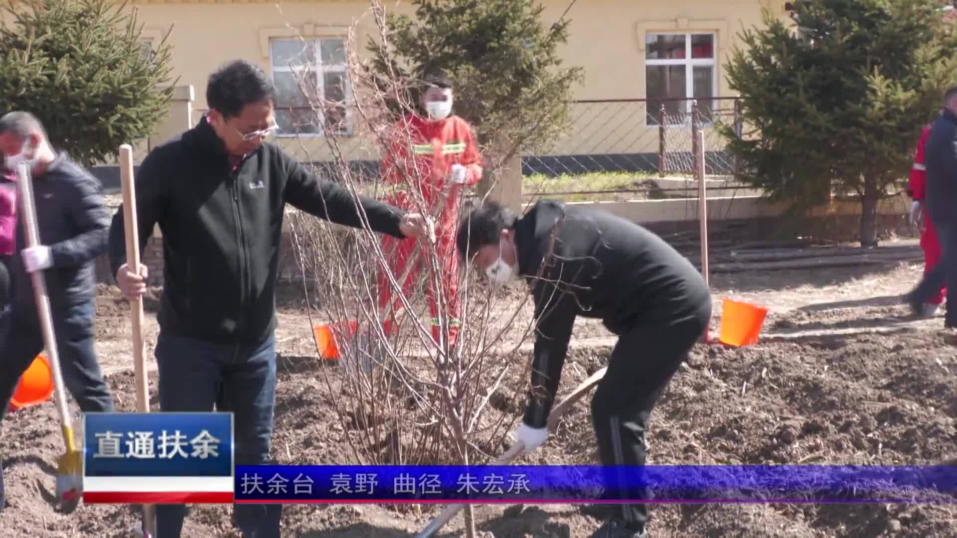 直通县市区2023年5月8日扶余     扶余市开展春季义务植树活动VA0
