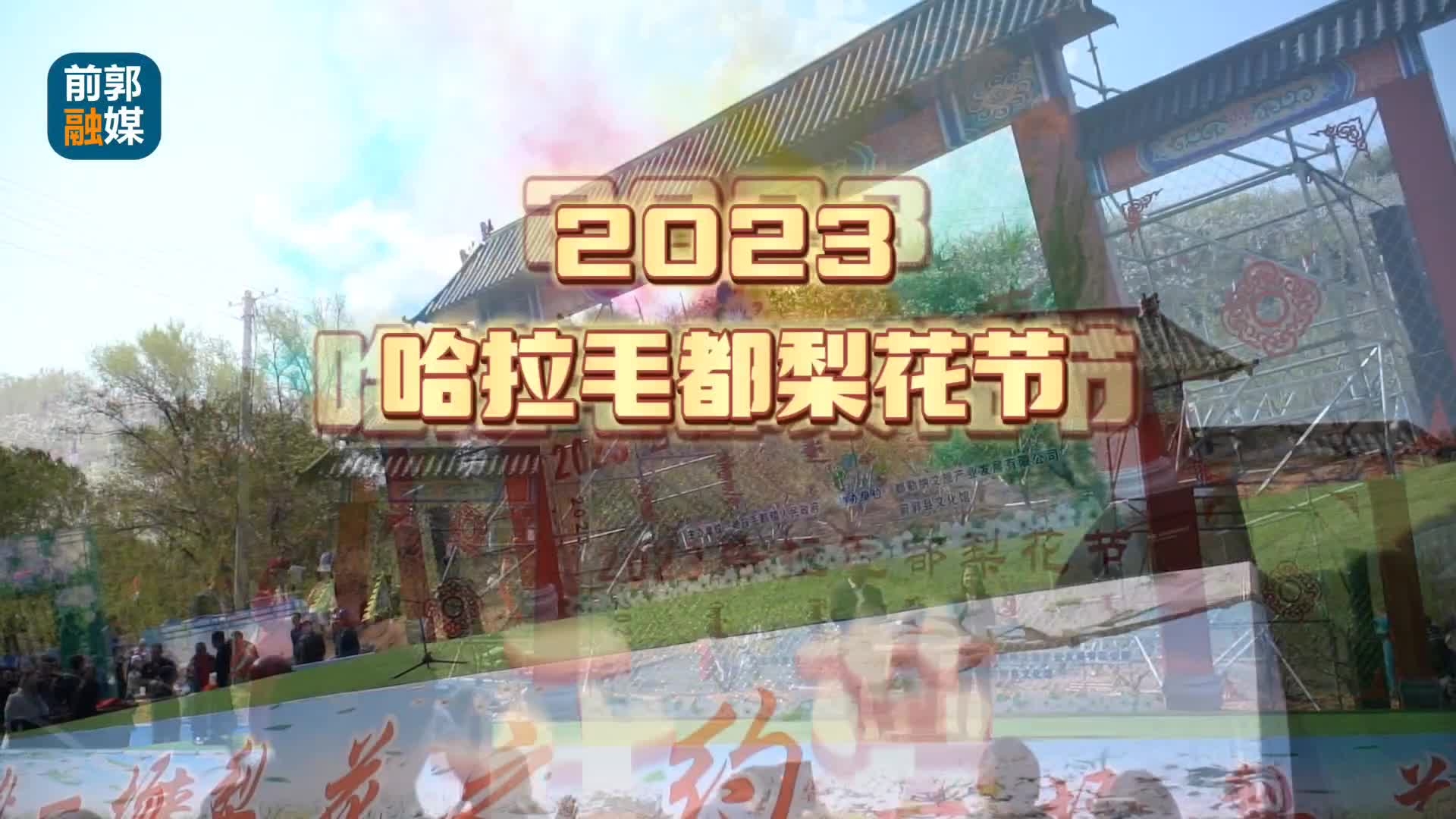 2023哈拉毛都梨花节开幕