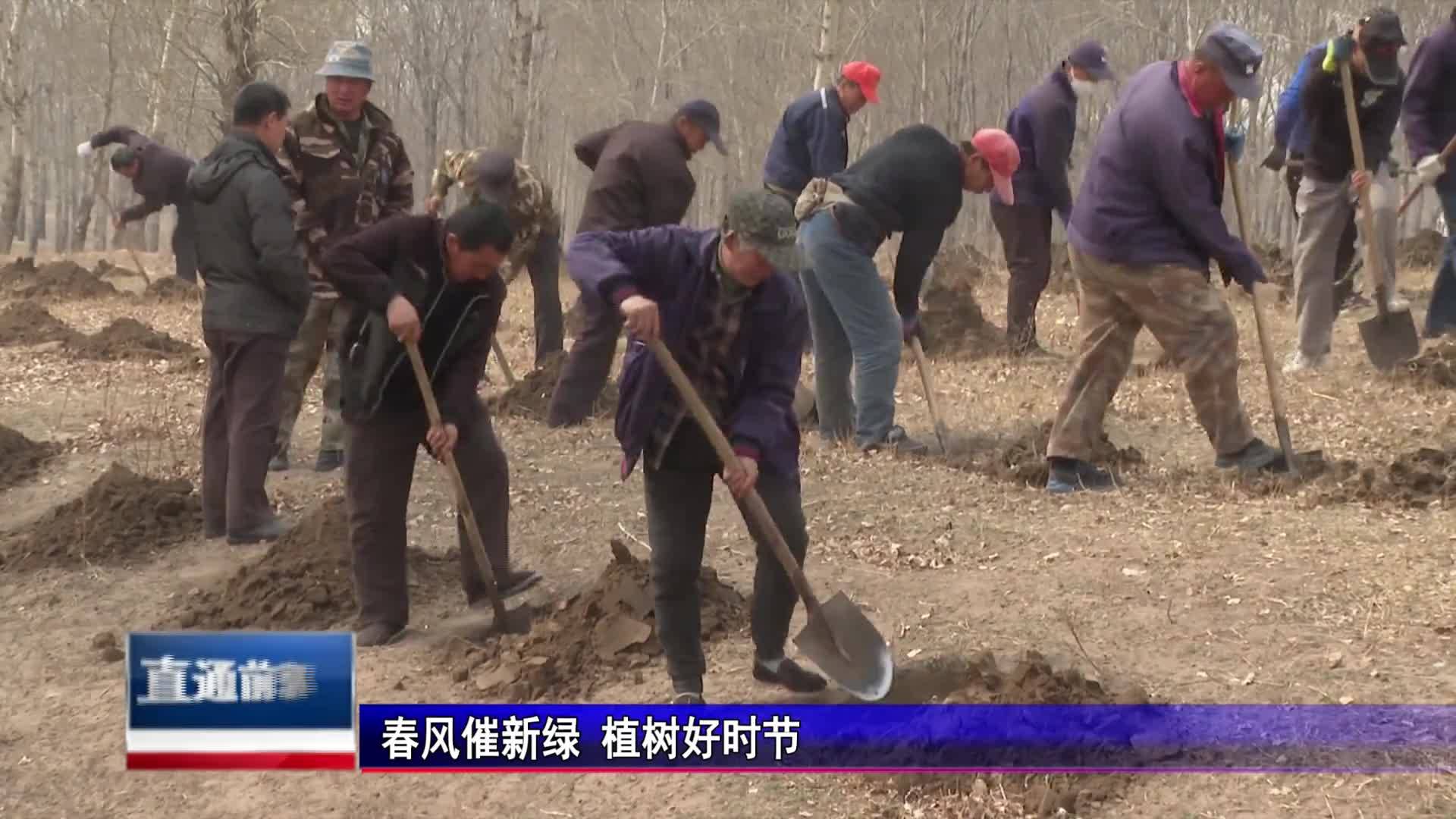 直通县市区2023年5月9日前郭     春风催新绿 植树好时节VA0