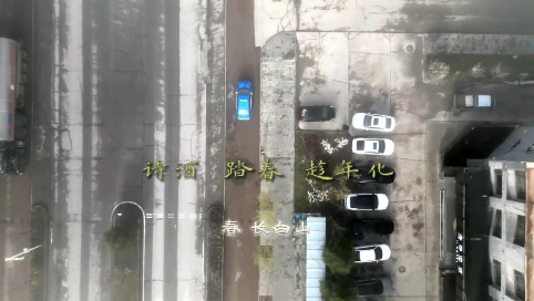 诗酒踏春趁年华