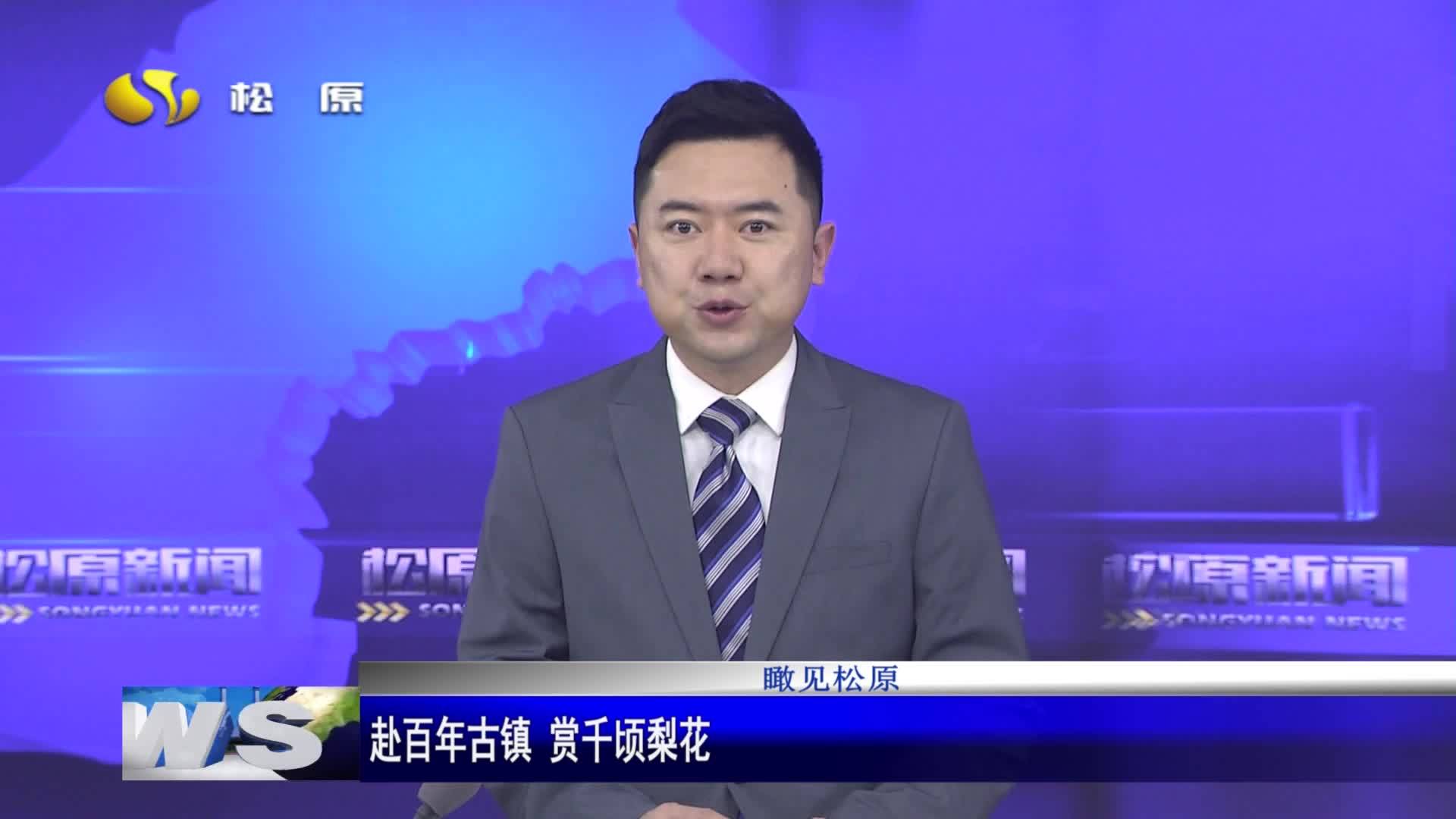 瞰见松原  赴百年古镇 赏千顷梨花