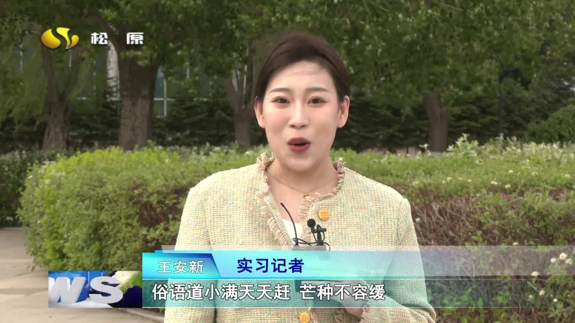 主播说节气：小满  记者 刘思琦 王安新