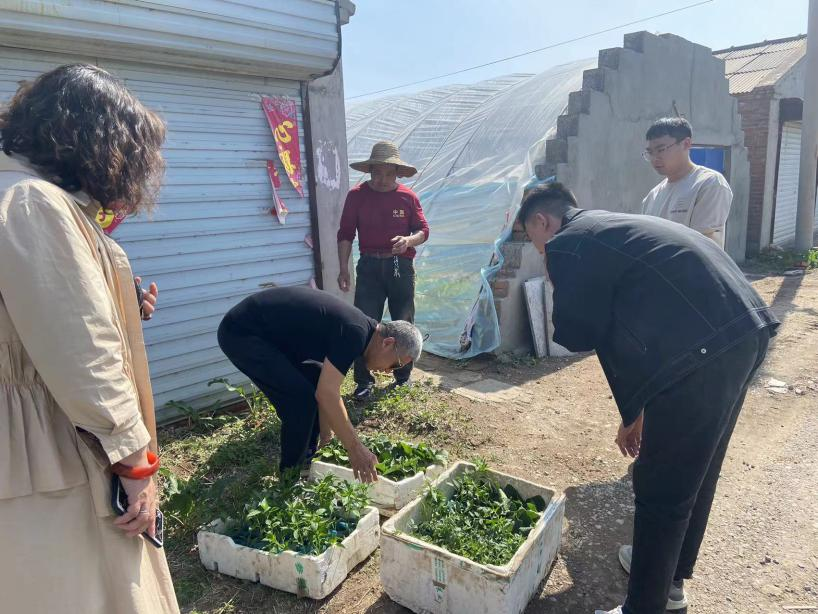 梨树县富强街道：发展庭院“小经济” 种植增收 “幸福苗”